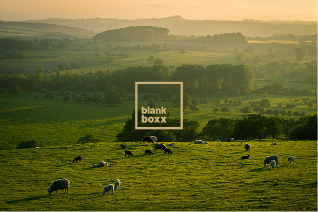 Blank Boxx — case study visual